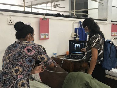 Collecting samples and data by the Research Assistants