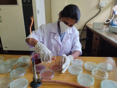 Processing Samples of Ongoing Researches