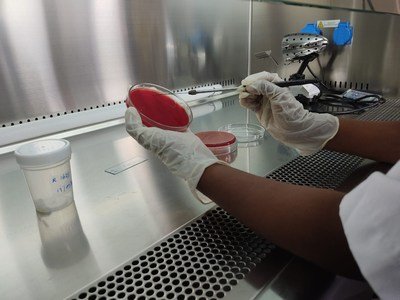 Processing Samples of Ongoing Researches