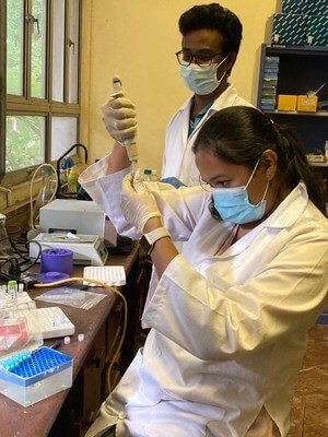 Processing Samples of Ongoing Researches