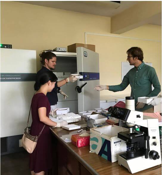 Processing Samples of Ongoing Researches