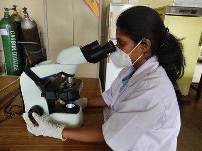 Processing Samples of Ongoing Researches