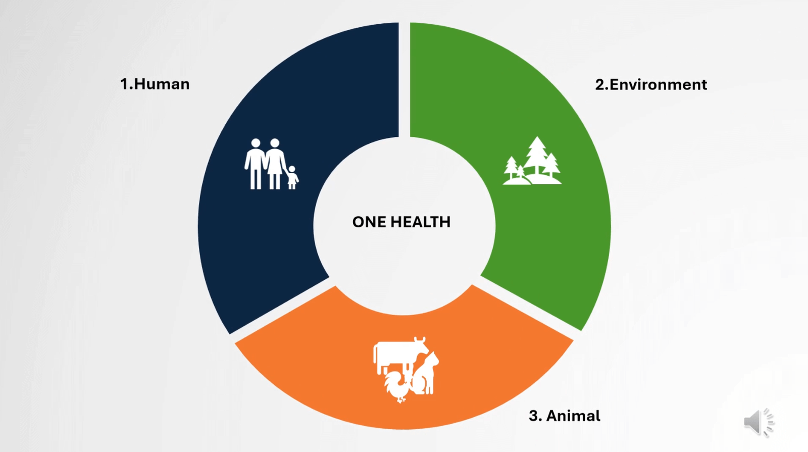 𝐎𝐟𝐟𝐢𝐜𝐢𝐚𝐥 𝐋𝐚𝐮𝐧𝐜𝐡 𝐨𝐟 𝐒𝐋𝐎𝐇𝐔𝐍 – 𝐒𝐫𝐢 𝐋𝐚𝐧𝐤𝐚 𝐎𝐧𝐞 𝐇𝐞𝐚𝐥𝐭𝐡 𝐔𝐧𝐢𝐯𝐞𝐫𝐬𝐢𝐭𝐲 𝐍𝐞𝐭𝐰𝐨𝐫𝐤 image 2