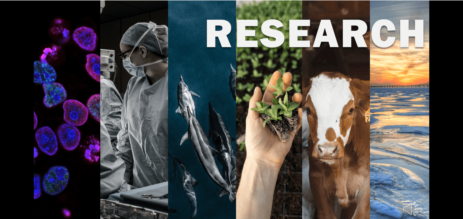 𝐎𝐟𝐟𝐢𝐜𝐢𝐚𝐥 𝐋𝐚𝐮𝐧𝐜𝐡 𝐨𝐟 𝐒𝐋𝐎𝐇𝐔𝐍 – 𝐒𝐫𝐢 𝐋𝐚𝐧𝐤𝐚 𝐎𝐧𝐞 𝐇𝐞𝐚𝐥𝐭𝐡 𝐔𝐧𝐢𝐯𝐞𝐫𝐬𝐢𝐭𝐲 𝐍𝐞𝐭𝐰𝐨𝐫𝐤 image 3