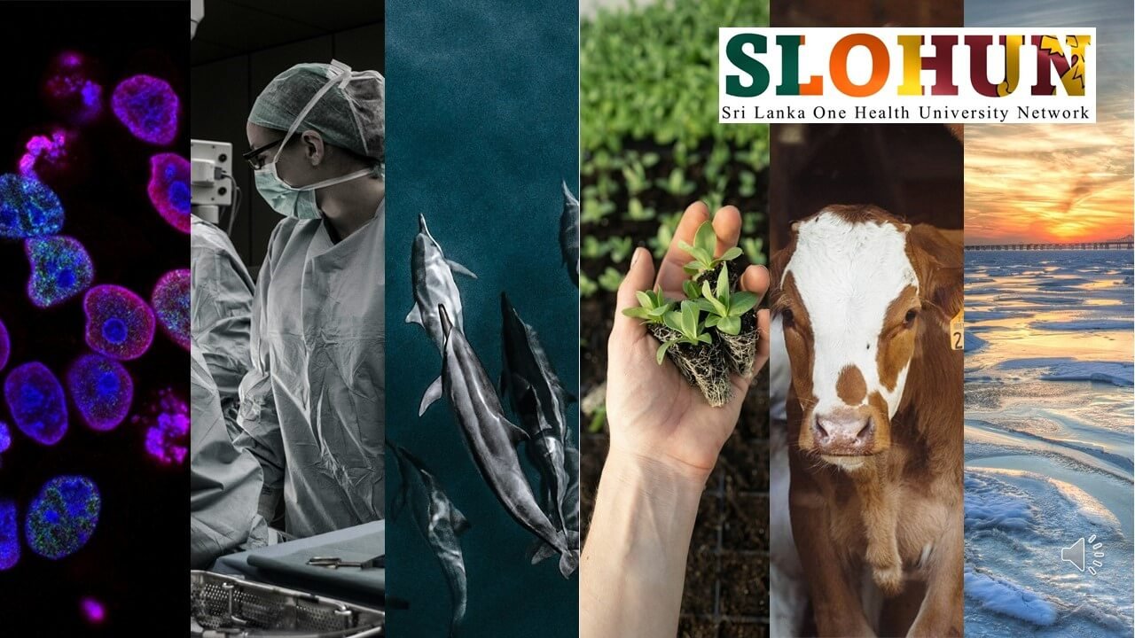Call for Membership Applications Sri Lanka One Health University Network (SLOHUN)